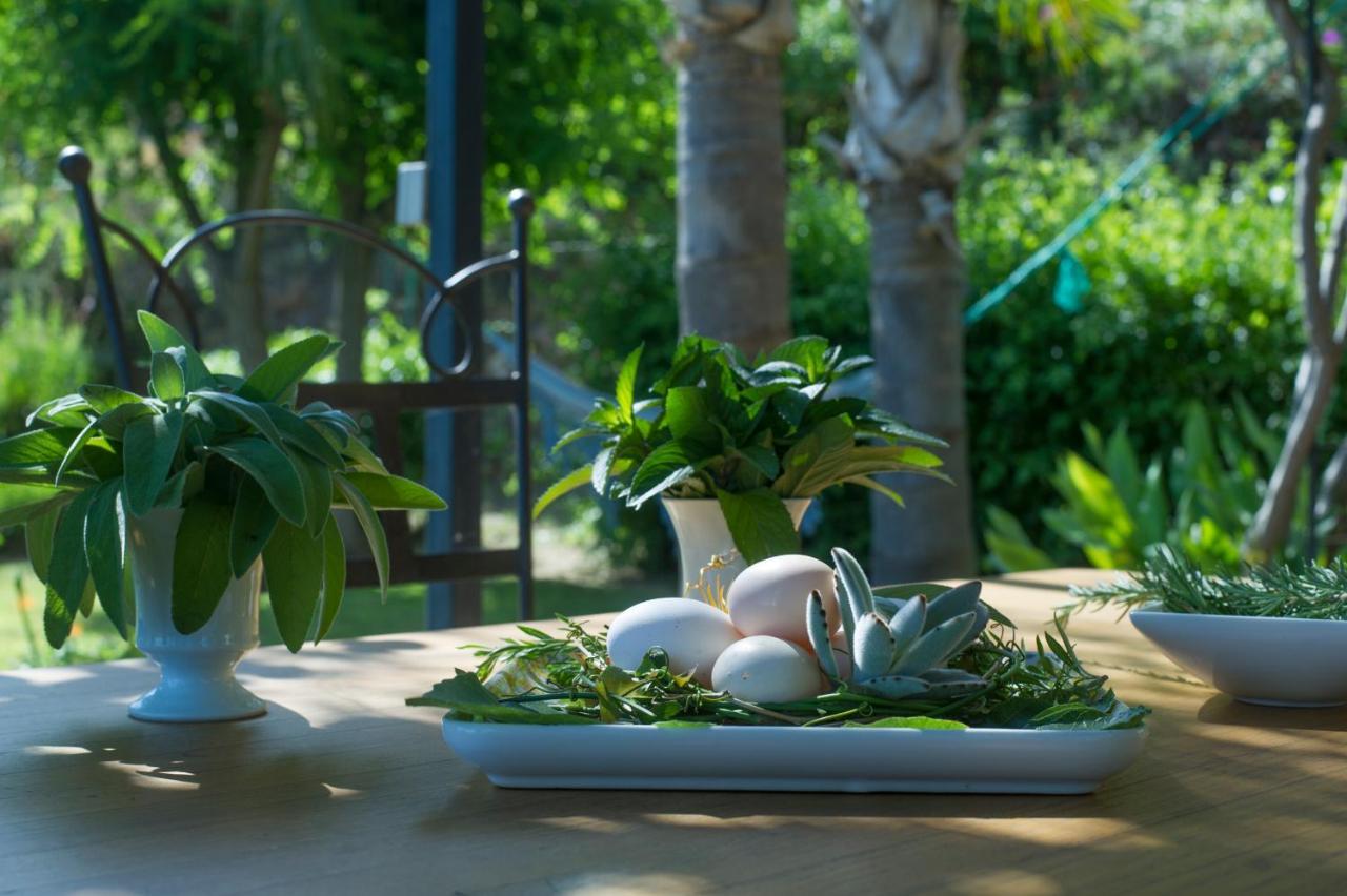 拉隆德莱丝莫里斯House With Garden And Sea View别墅 外观 照片